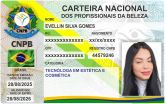 EVELLIN SILVA GOMES