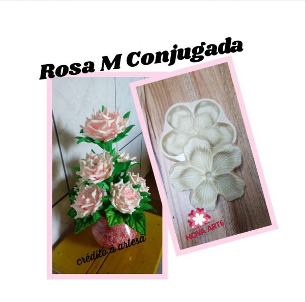 Rosa M Conj. (n-92)