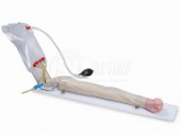 Braço P/ Injeção Intravenosa I.V.-CS/SK -0010