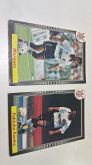 Corinthians Card Multi Editora 1994