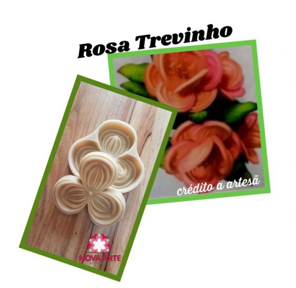 Rosa trevinho