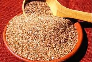 GÉRMEN DE TRIGO TOSTADO 200g