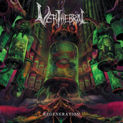 VERTHEBRAL - Regeneration