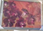 QUADRO DE PAREDE