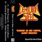 Demolition Steel – There Is No Hope, Just Decay
