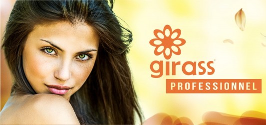 Girass Sorocaba