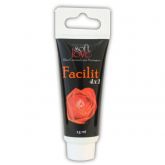 Facilit Bisnaga