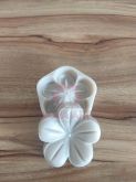 Flor da framboesa (n-488)