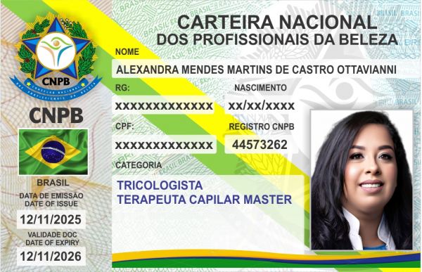 ALEXANDRA MENDES MARTINS DE CASTRO OTTAVIANNI