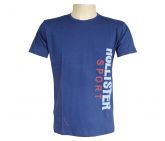 Camisa Hollister Azul Marinho