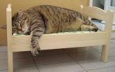 Cama Para Gatos