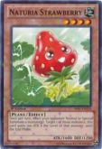 Naturia Strawberry STARFOIL BP01-EN210