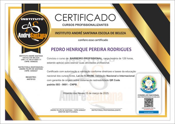 PEDRO HENRIQUE PEREIRA RODRIGUES