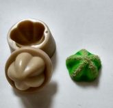 Cacto bolinha
