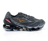 Mizuno prophecy 6