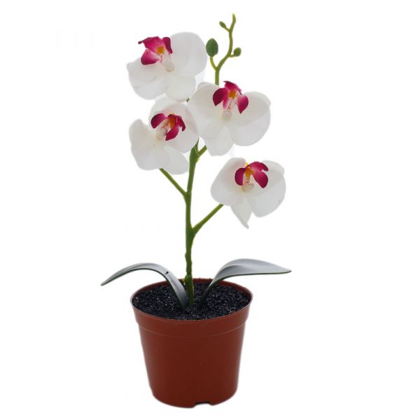 Arranjo orquidea c/4 flores em vaso