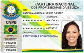 ANTONIA AMANDA ALVES DE CASTRO