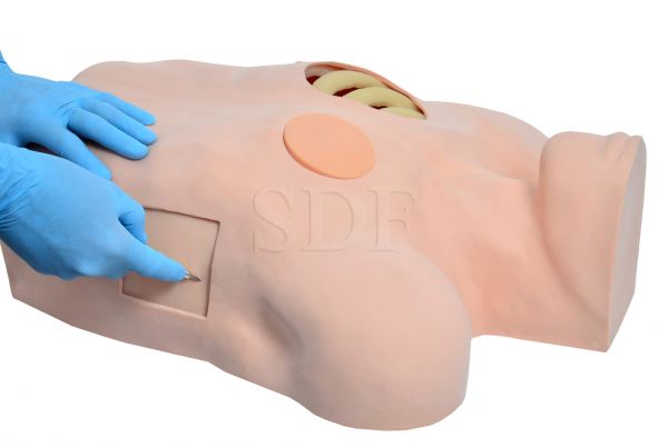 Simulador de Drenagem Torácica-CS/SD-4045