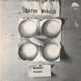SATIN WHALE - Desert Places