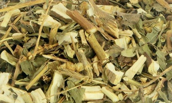 Arnica 100g