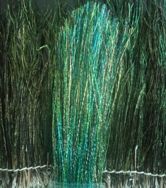 PEACOCK FLASH