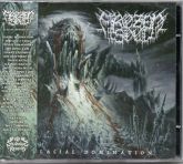 Frozen Soul - Glacial Domination