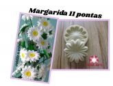 Margarida 11 pontas