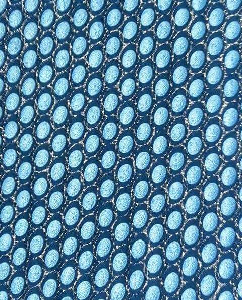 Lonita de bolinha azul