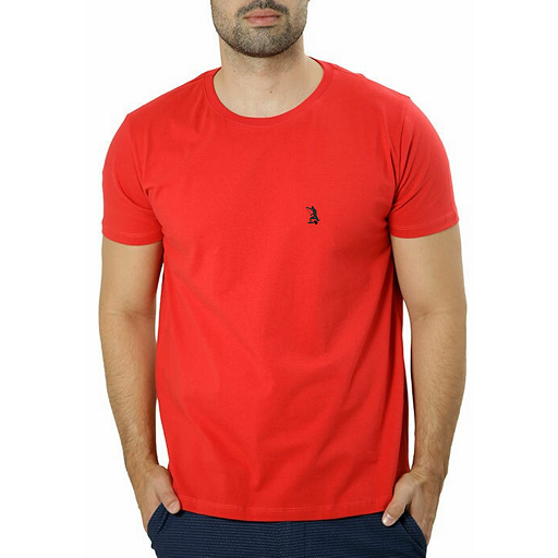 Camiseta básica gola redonda lisa vermelha