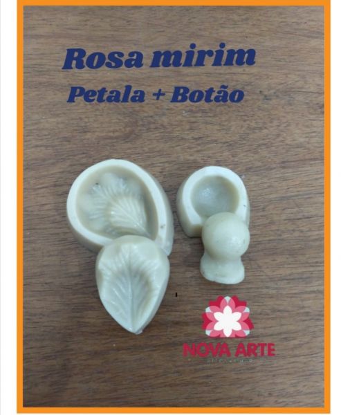 Botão e rosa Mirim