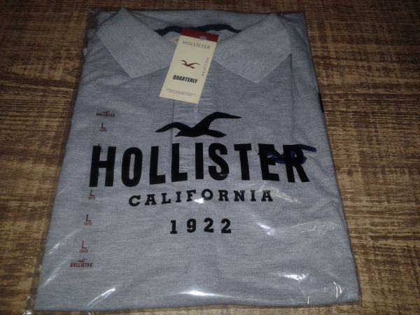 Polo Hollister