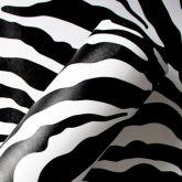 AB Zebra