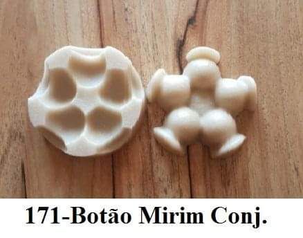 Botão Mirim conj.(n-171)