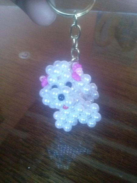 Cachorrinho