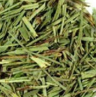 Capim Limão 100g
