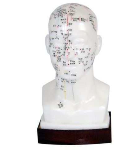 Cabeça Para Acuputura 20cm-CS/COL 1507