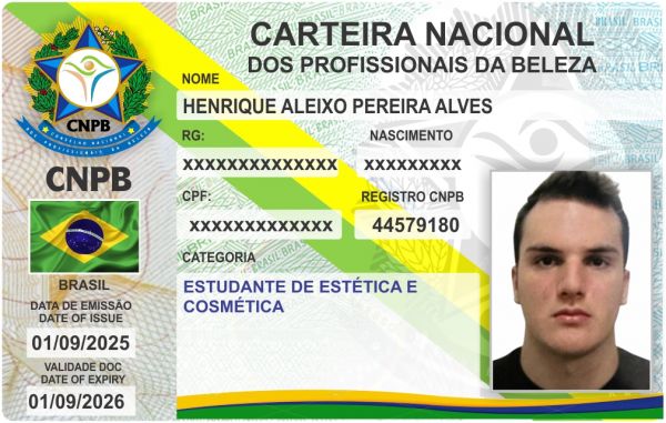 HENRIQUE ALEIXO PEREIRA ALVES