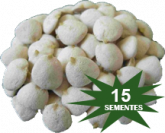 KIT NOZ DA INDIA 15 NOZES – 60 DIAS