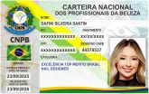 DAFINI SILVEIRA SANTIN