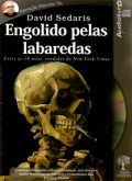 Audiolivro - Engolido pelas Labaredas