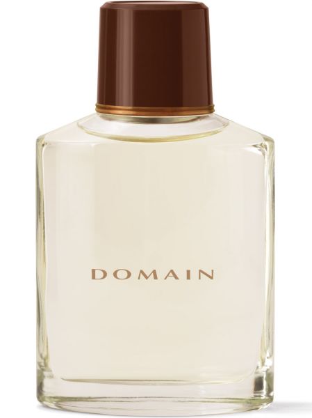 Domain - Cologne
