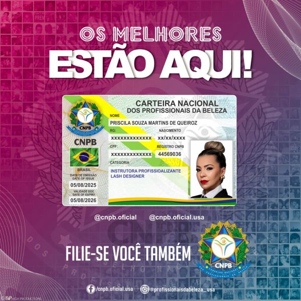 PRISCILA SOUZA MARTINS DE QUEIROZ