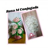 Rosa M Conj. (n-92)