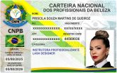 PRISCILA SOUZA MARTINS DE QUEIROZ