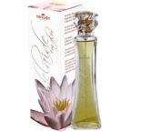 Adelaide em Flor - Flor de Lótus