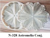 Astromelia conj. (N-328)
