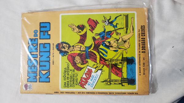 MESTRE DO KUNF FU NR 008