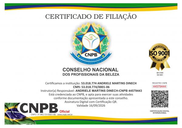 53.018.774 ANDRIELE MARTINS DINECH