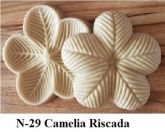 Camélia Riscada(n-29)