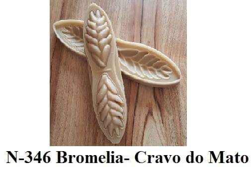 Bromelia cravo do mato (n-346)